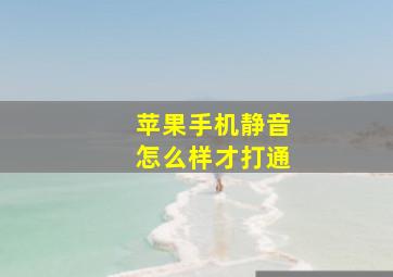 苹果手机静音怎么样才打通