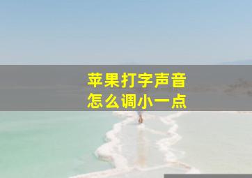 苹果打字声音怎么调小一点