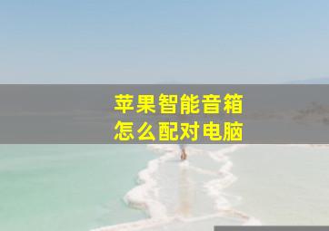 苹果智能音箱怎么配对电脑