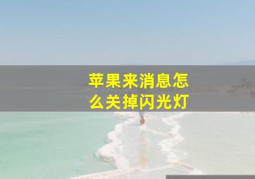 苹果来消息怎么关掉闪光灯