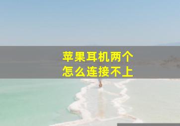 苹果耳机两个怎么连接不上