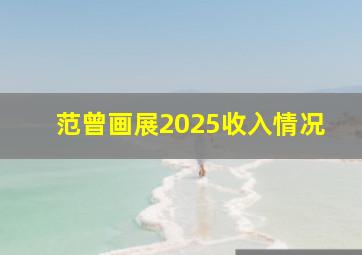 范曾画展2025收入情况