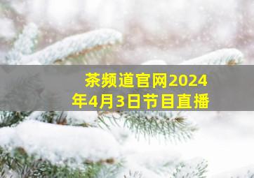 茶频道官网2024年4月3日节目直播