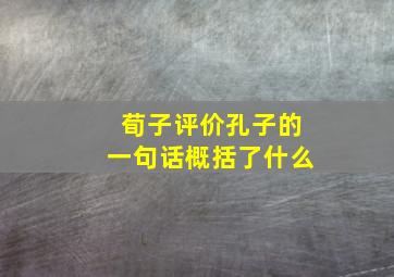 荀子评价孔子的一句话概括了什么