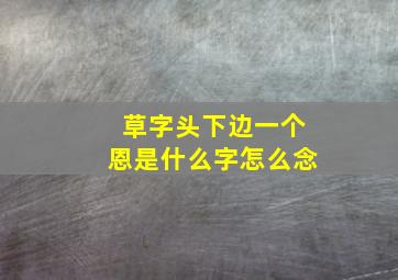 草字头下边一个恩是什么字怎么念