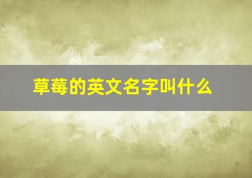 草莓的英文名字叫什么