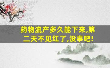 药物流产多久能下来,第二天不见红了,没事吧!