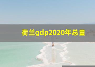 荷兰gdp2020年总量