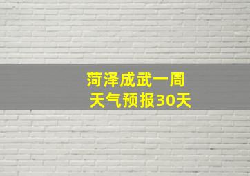 菏泽成武一周天气预报30天