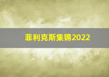 菲利克斯集锦2022