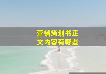 营销策划书正文内容有哪些