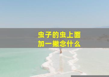 虫子的虫上面加一撇念什么