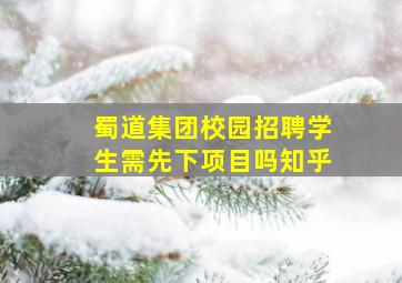 蜀道集团校园招聘学生需先下项目吗知乎