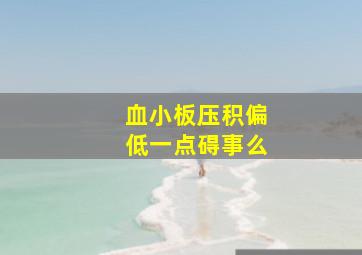 血小板压积偏低一点碍事么