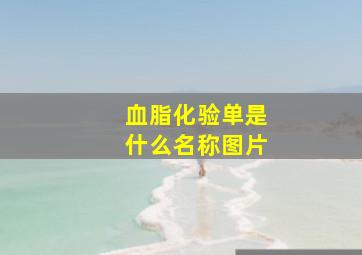 血脂化验单是什么名称图片