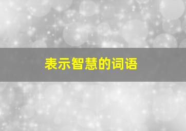 表示智慧的词语