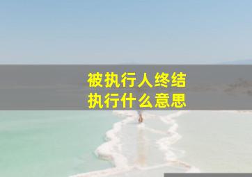 被执行人终结执行什么意思