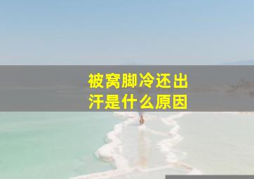 被窝脚冷还出汗是什么原因