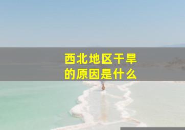 西北地区干旱的原因是什么