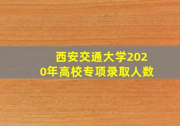 西安交通大学2020年高校专项录取人数