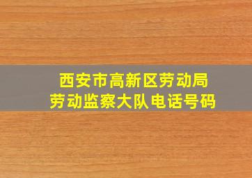 西安市高新区劳动局劳动监察大队电话号码