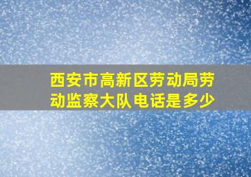 西安市高新区劳动局劳动监察大队电话是多少