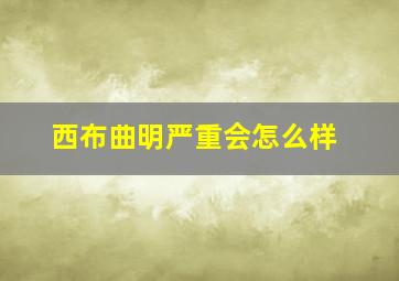 西布曲明严重会怎么样