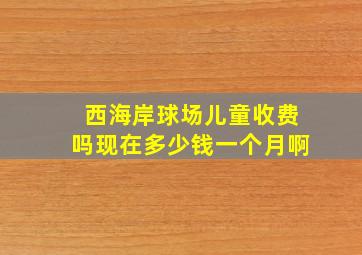 西海岸球场儿童收费吗现在多少钱一个月啊