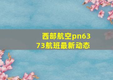 西部航空pn6373航班最新动态