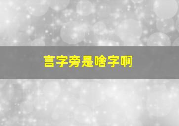 言字旁是啥字啊