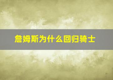 詹姆斯为什么回归骑士