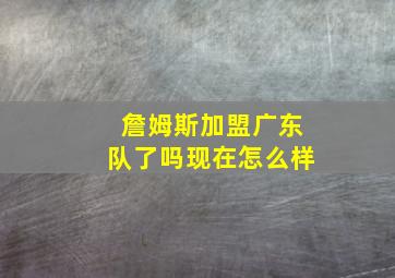 詹姆斯加盟广东队了吗现在怎么样