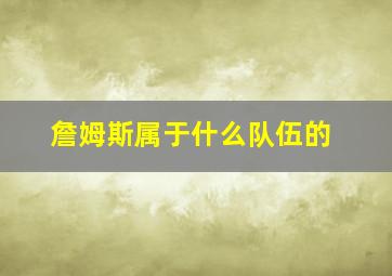 詹姆斯属于什么队伍的