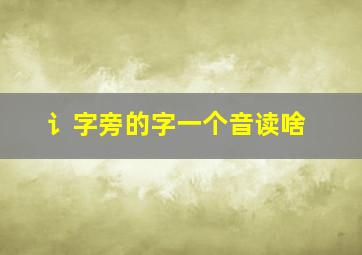 讠字旁的字一个音读啥