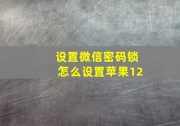 设置微信密码锁怎么设置苹果12