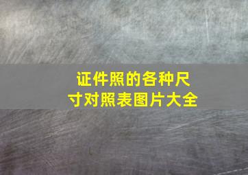 证件照的各种尺寸对照表图片大全