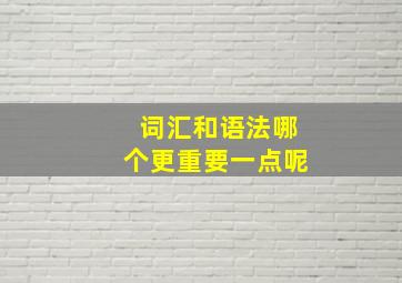 词汇和语法哪个更重要一点呢