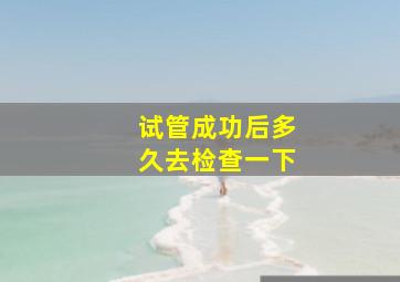 试管成功后多久去检查一下