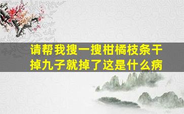 请帮我搜一搜柑橘枝条干掉九子就掉了这是什么病