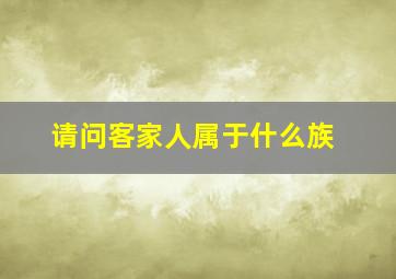 请问客家人属于什么族