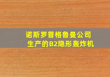 诺斯罗普格鲁曼公司生产的B2隐形轰炸机