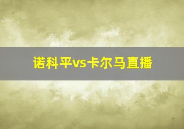 诺科平vs卡尔马直播