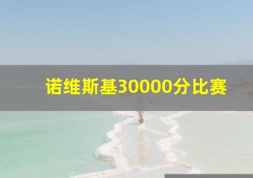 诺维斯基30000分比赛