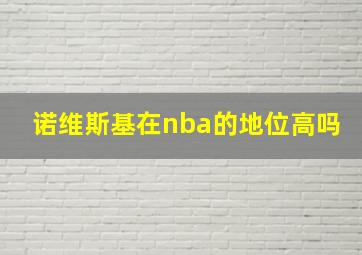 诺维斯基在nba的地位高吗