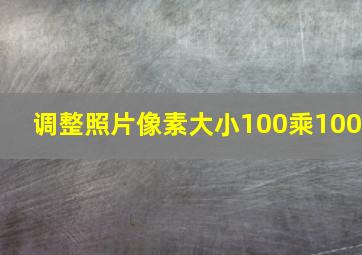 调整照片像素大小100乘100