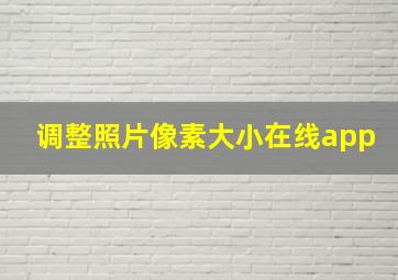 调整照片像素大小在线app