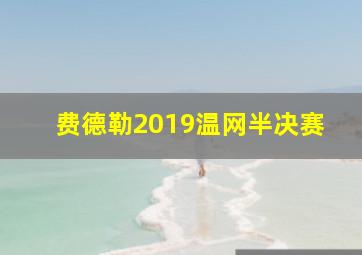 费德勒2019温网半决赛