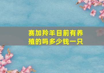 赛加羚羊目前有养殖的吗多少钱一只