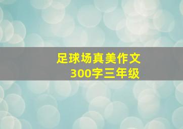 足球场真美作文300字三年级