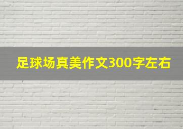 足球场真美作文300字左右